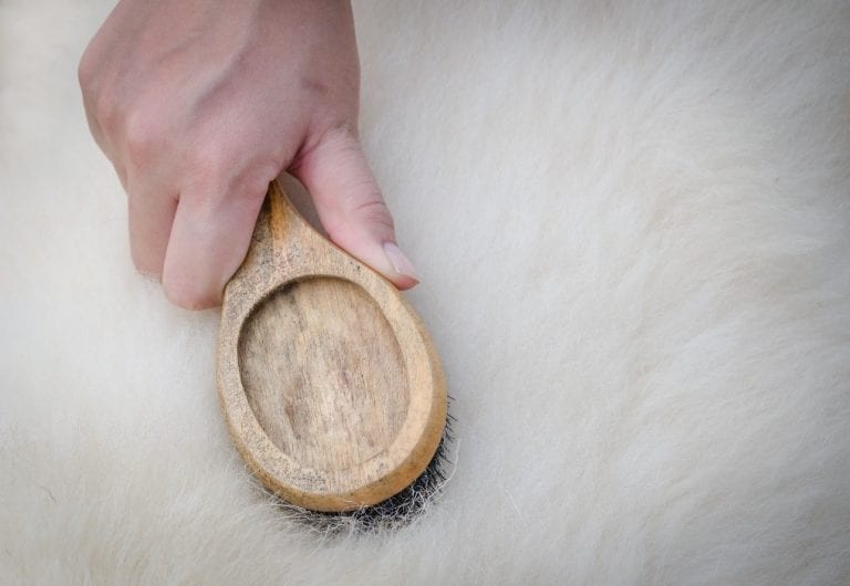 The Complete Sheepskin Rug Care Guide Rug Care