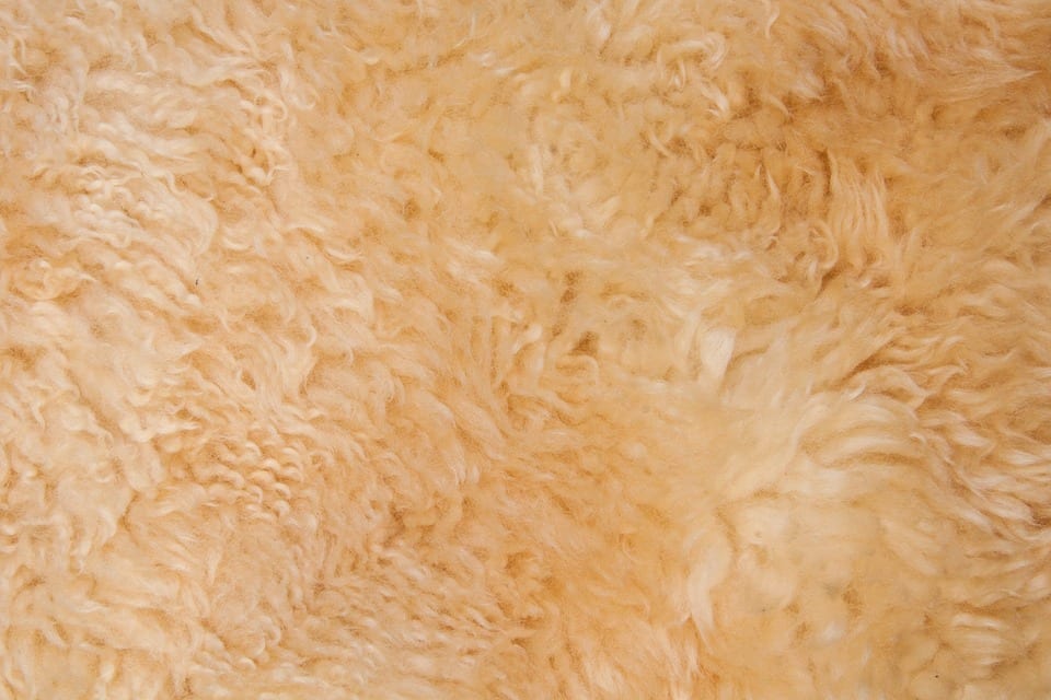 3 Ways To Keep Sheepskin Rugs Fluffy, Can You Put Sheepskin Rug In Washing Machine